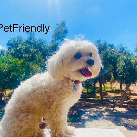 Bungalow Sequero #Pet Friendly Tuineje المظهر الخارجي الصورة
