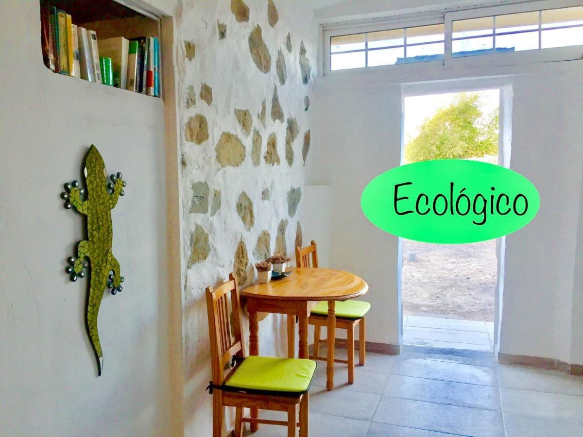 Bungalow Sequero #Pet Friendly Tuineje المظهر الخارجي الصورة