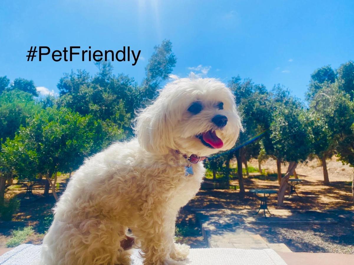 Bungalow Sequero #Pet Friendly Tuineje المظهر الخارجي الصورة